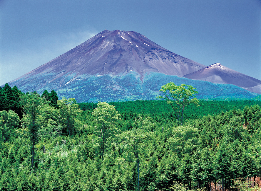 Bild vom Vulkan Fuji, einer Ikone Japans, und den umgebenden Wäldern