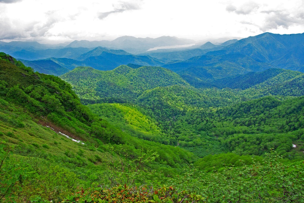 Abbildung der Bergwälder in Tokachi